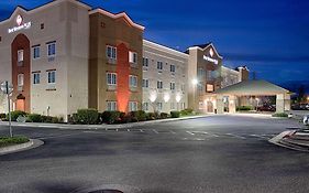 Comfort Suites Oakley Ca